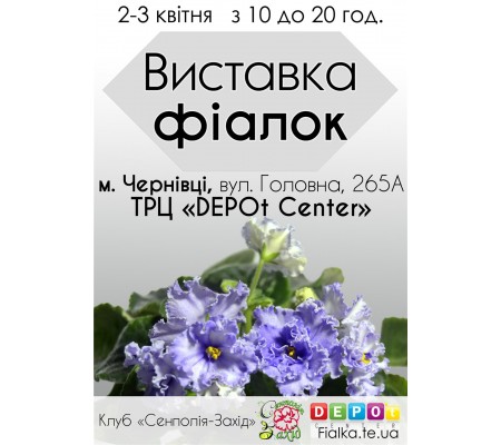 Выставка фиалок в Черновцах с 2 по 3 апреля 2016
